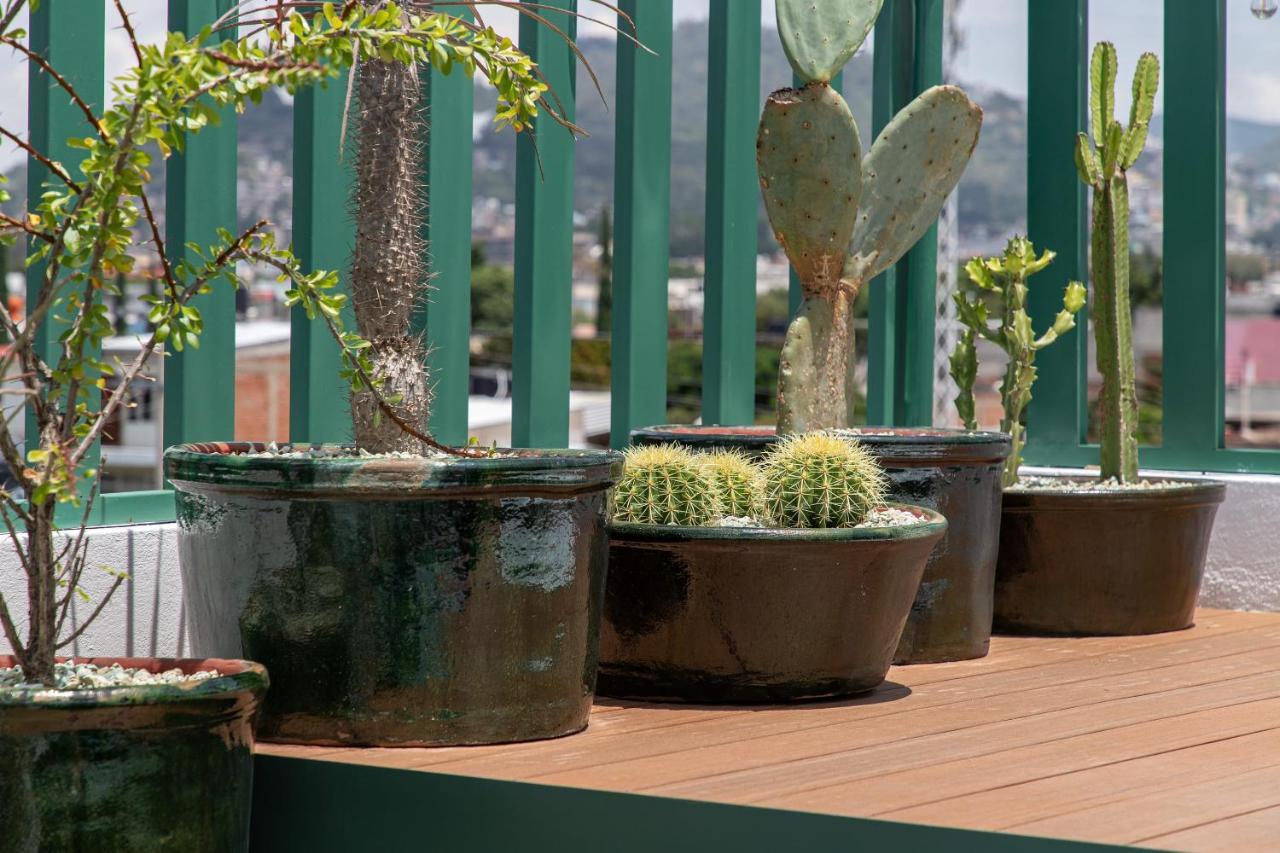 Holt - Villa Noria - La Casa Del Barro Verde Oaxaca Kültér fotó